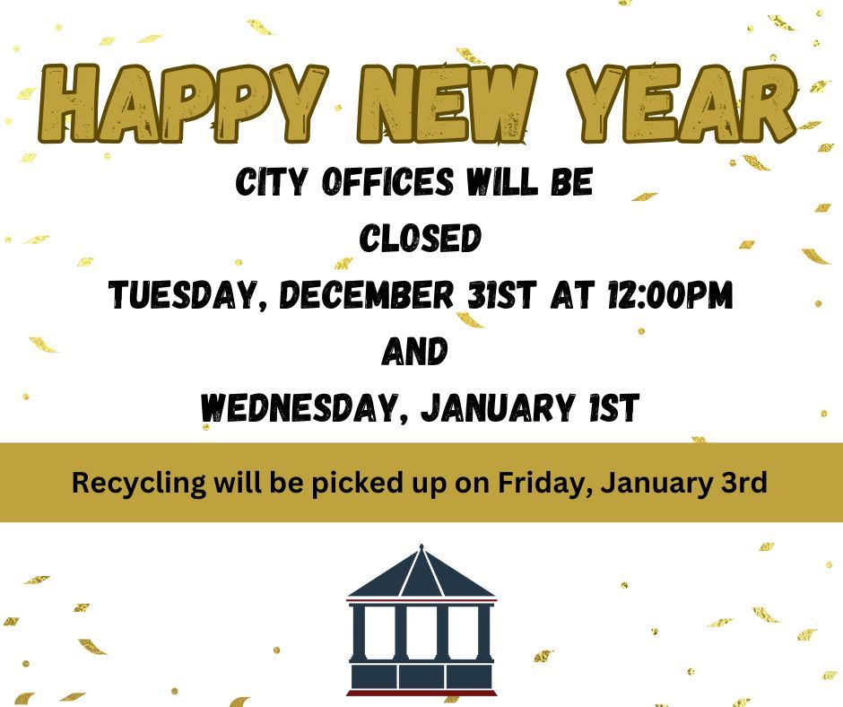 Happy New Year 2025(1)